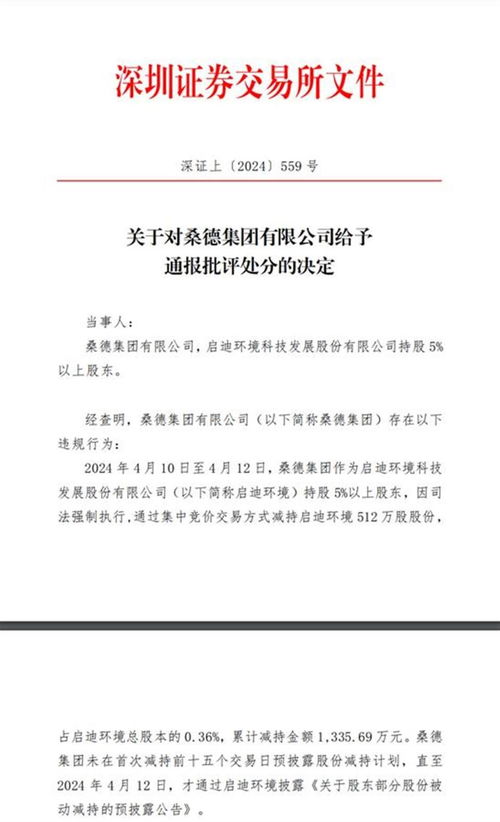 未按规定预披露减持计划启迪环境第四大股东收警示函