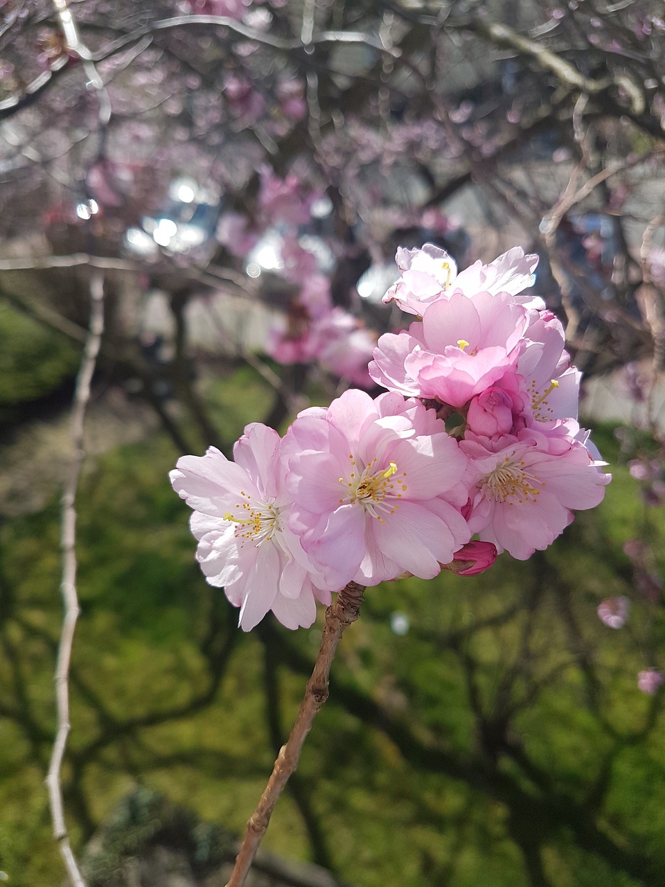 “悦读”系列之“花悦生活·指尖艺境”第二期手工花束大赛顺利举办